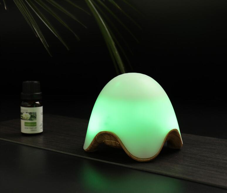 USB Rechargeable Aromatherapy Night Light Diffuser