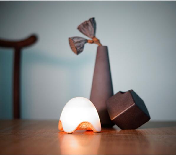 USB Rechargeable Aromatherapy Night Light Diffuser